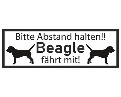 Aufkleber Beagle fhrt mit Aufkleber