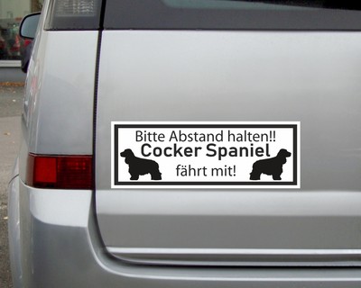 Aufkleber Cocker Spaniel fhrt mit - Ansicht 2