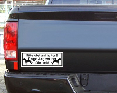 Aufkleber Dogo Argentino fhrt mit - Ansicht 3