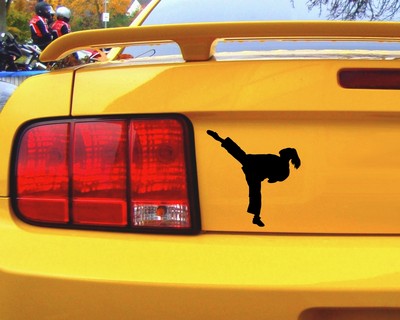 Karate Karatekmpferin Aufkleber