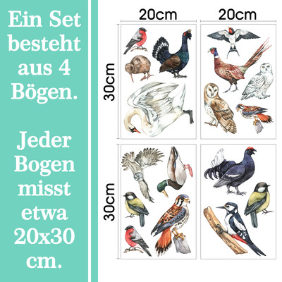 'Heimische Vgel' Wandtattoo Set - Ansicht 6