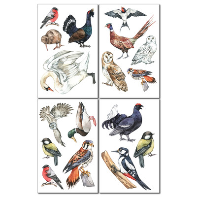  Heimische Vgel  Wandtattoo Set