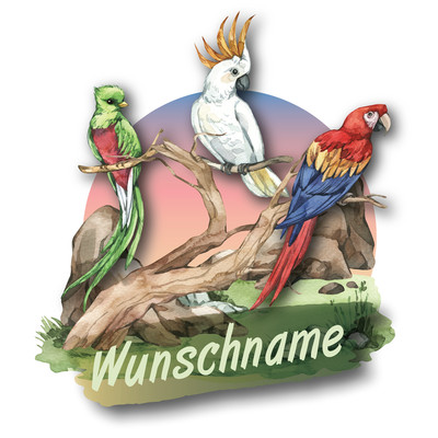 Buntes Wandtattoo Trschild  Papagei und bunte Vgel 