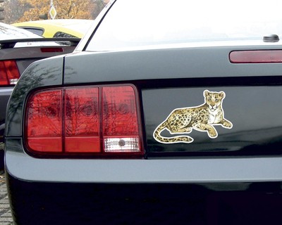 Leopard Aufkleber - Ansicht 3