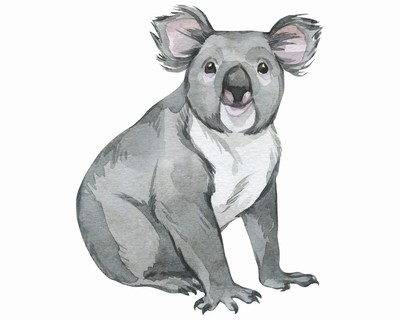 Koala Aufkleber - Ansicht 1