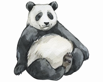 Panda Aufkleber