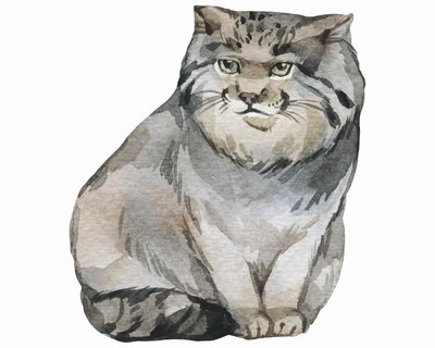 Manul Aufkleber