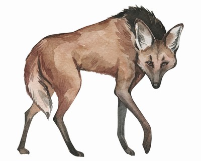 Mhnenwolf Aufkleber