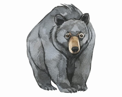 Schwarzbr Aufkleber