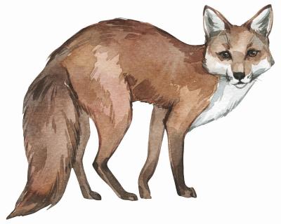Fuchs Aufkleber - Ansicht 1
