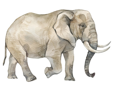 Afrikanischer Elefant Aufkleber