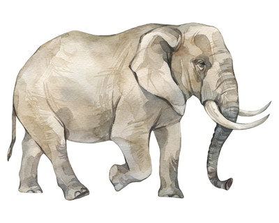 Afrikanischer Elefant Aufkleber - Ansicht 1