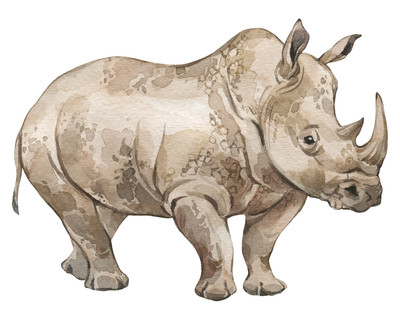 Nashorn Aufkleber Aufkleber