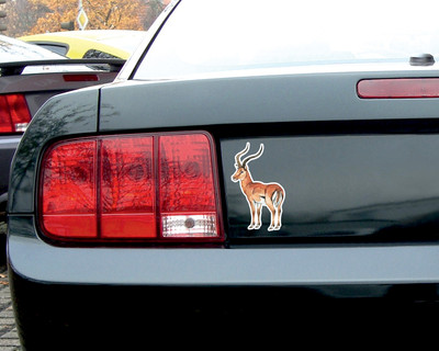 Impala Antilope Aufkleber - Ansicht 3