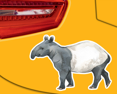 Tapir Aufkleber - Ansicht 3