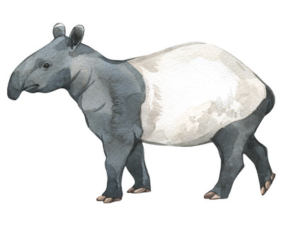 Tapir Aufkleber