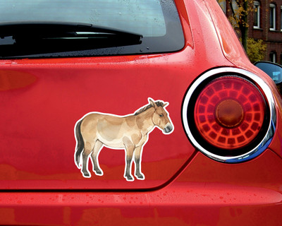 Przewalski Pferd Aufkleber - Ansicht 2