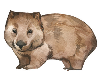 Wombat Aufkleber