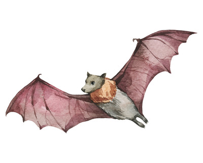 Flughund Aufkleber