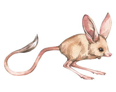 Springmaus Aufkleber