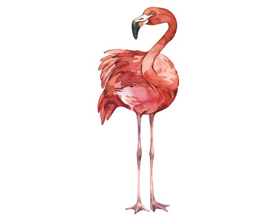 Flamingo Aufkleber