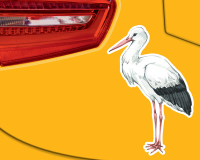 Storch Aufkleber - Ansicht 3