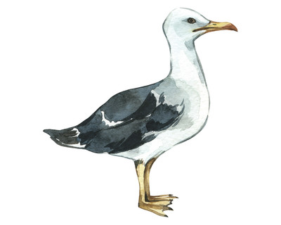 Mwe Aufkleber