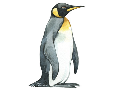 Pinguin Aufkleber