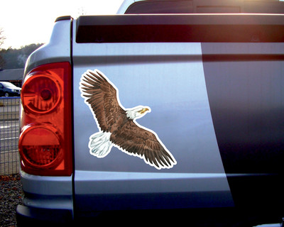 Weikopfseeadler Aufkleber - Ansicht 2