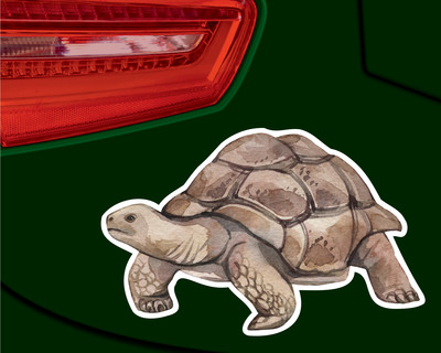 Landschildkrte Aufkleber - Ansicht 3
