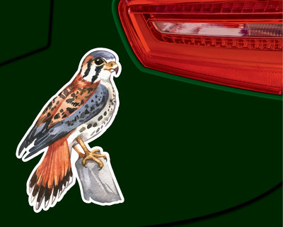 Buntfalke Falke Aufkleber - Ansicht 3