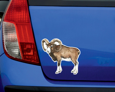 Urial Steppenschaf Aufkleber - Ansicht 2