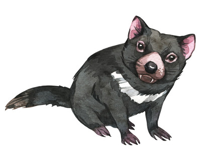 Tasmanischer Teufel Aufkleber