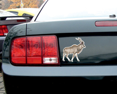 Kudu Antilope Aufkleber - Ansicht 3