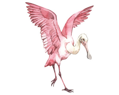 Flamingo Aufkleber