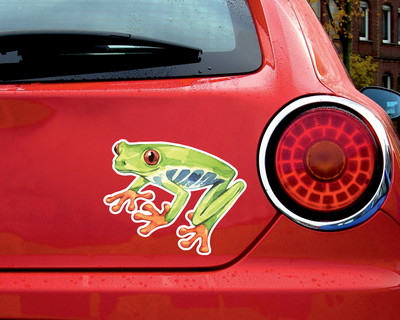 Rotaugenlaubfrosch Aufkleber - Ansicht 2