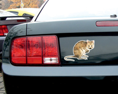 Quokka Aufkleber - Ansicht 2