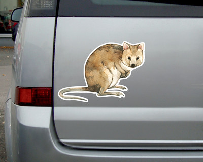 Quokka Aufkleber - Ansicht 3