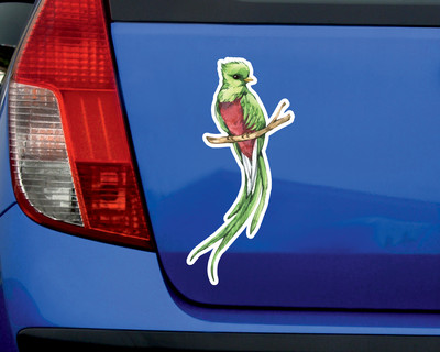 Quetzal Vogel Aufkleber - Ansicht 2