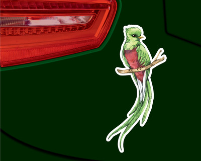 Quetzal Vogel Aufkleber - Ansicht 3