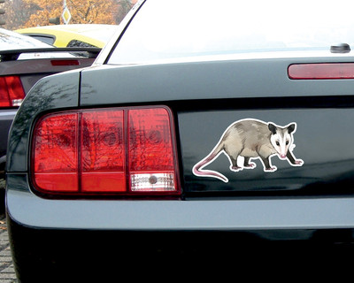Opossum Aufkleber - Ansicht 2
