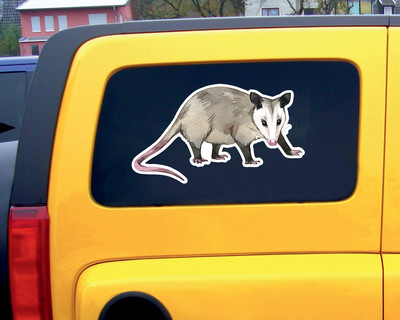 Opossum Aufkleber - Ansicht 3