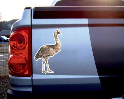 Großer Emu Aufkleber - Ansicht 2