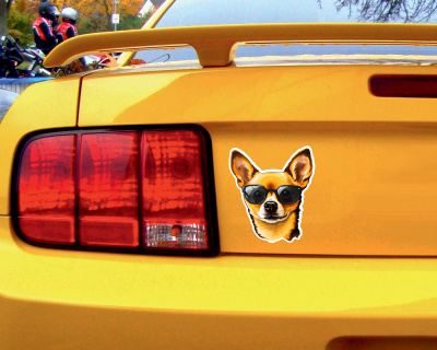 Chihuahua mit Sonnenbrille Aufkleber - Ansicht 2