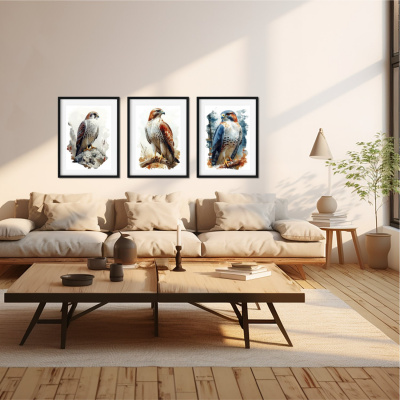Kunstdruck mit dem Motiv Vogel Set mit Raubvgeln Falke Sperber Bussard - Ansicht 2