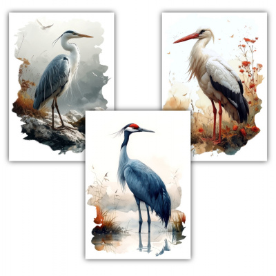 Kunstdruck mit dem Motiv Vogel Set mit Storch Kranich Fischreiher