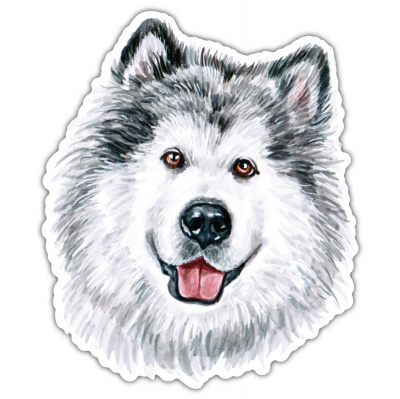 Alaskan Malamute Aufkleber Bunt