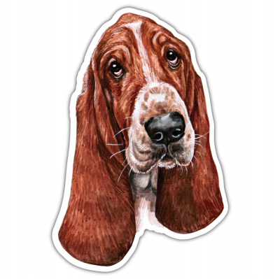 Basset Hound Aufkleber Bunt