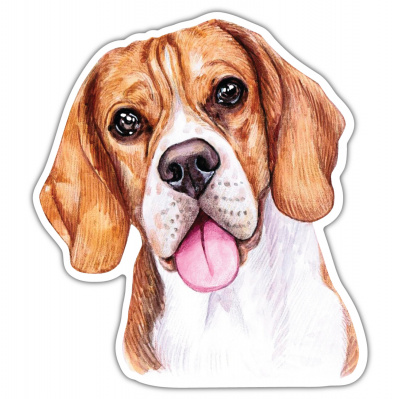 Beagle Aufkleber Bunt