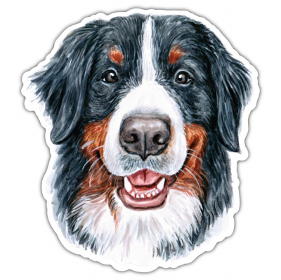 Berner Sennenhund Aufkleber Bunt